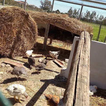 Agriturismo S'aranada *