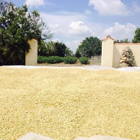 Agriturismo S'aranada Marrubiu