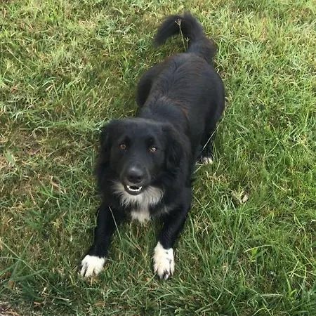 S'aranada Agroturismo *