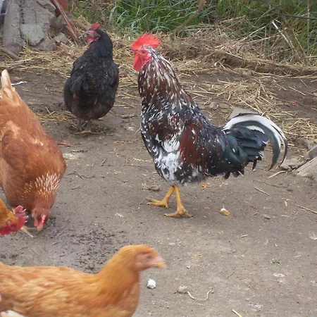 S'aranada Vakantieboerderij Marrùbiu