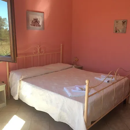 Farm stay Agriturismo S'aranada *